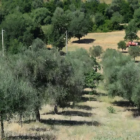Holiday home Nonnogennaro
